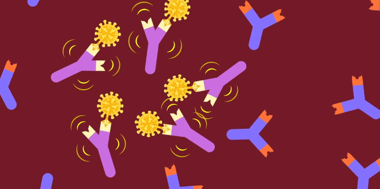 immunity, vaccine, antibodies